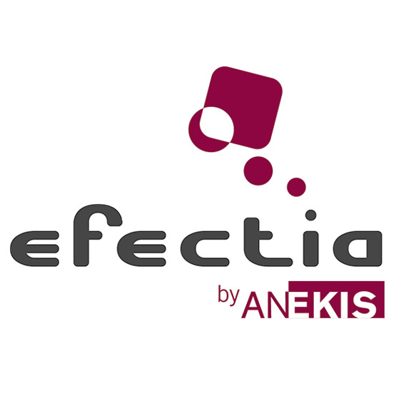 Identidad Corporativa - Logo efectia - Anekis