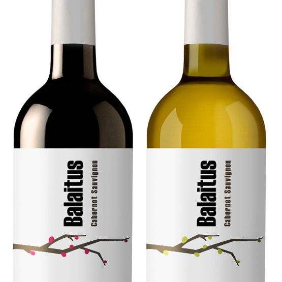 Packaging - Balaitus - Bodegas San Valero
